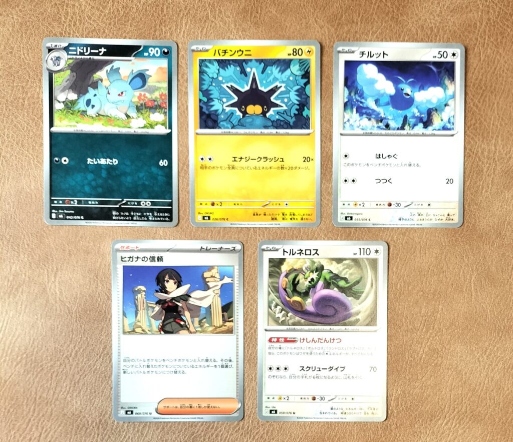 8.617g ニドリーナ（04